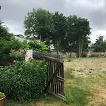 Gartenblick Im Schwalbennest Wandlitz