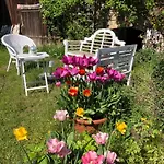 Gartenblick Im Schwalbennest Apartman Wandlitz