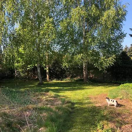 Gartenblick Im Schwalbennest