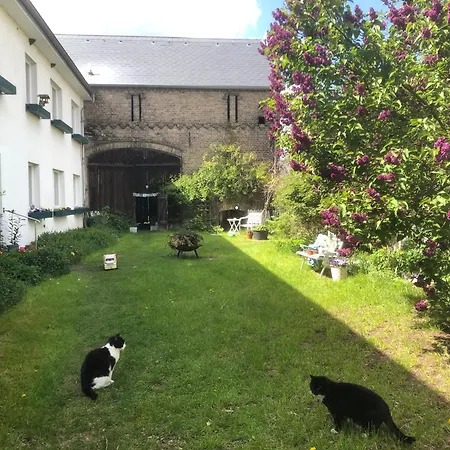 Gartenblick Im Schwalbennest Lejlighed