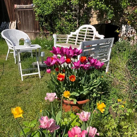 Gartenblick Im Schwalbennest 아파트 반들리츠