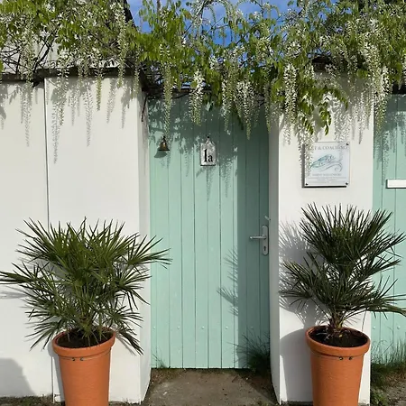 Gartenblick Im Schwalbennest Wandlitz