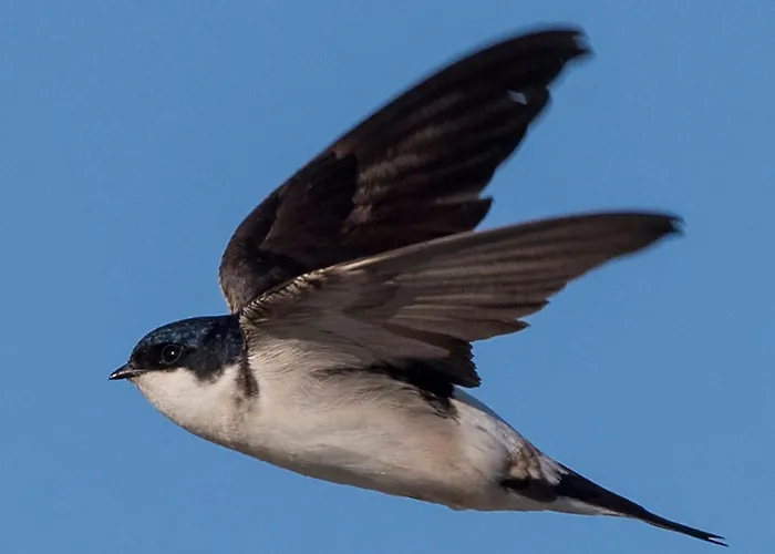 Gartenblick Im Schwalbennest Apartamento *