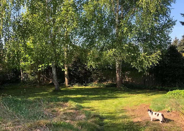 Gartenblick Im Schwalbennest