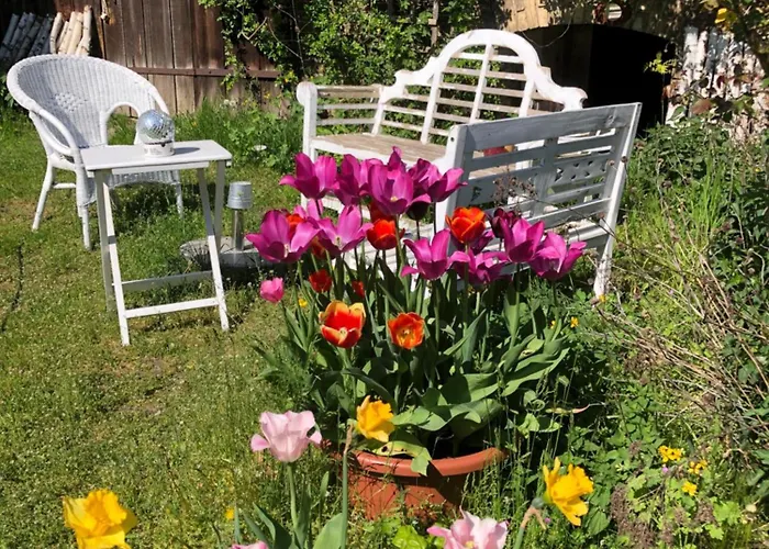 Gartenblick Im Schwalbennest Apartamento Wandlitz